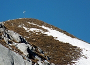 42 con lo zoom  in un attimo ! Croce Monte Secco (2293 m.)